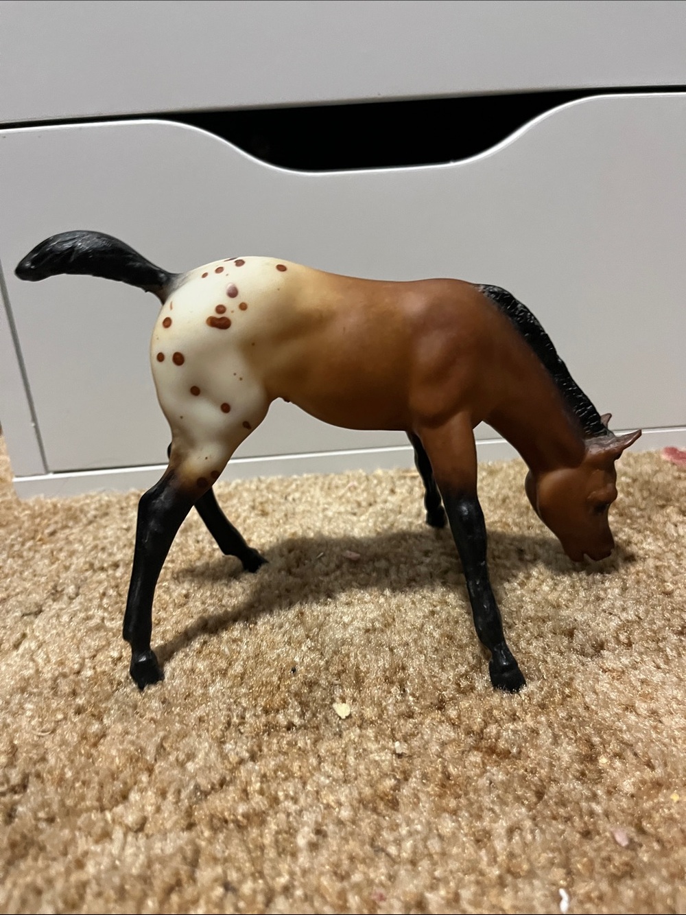 Grazing Breyer Appaloosa foal
